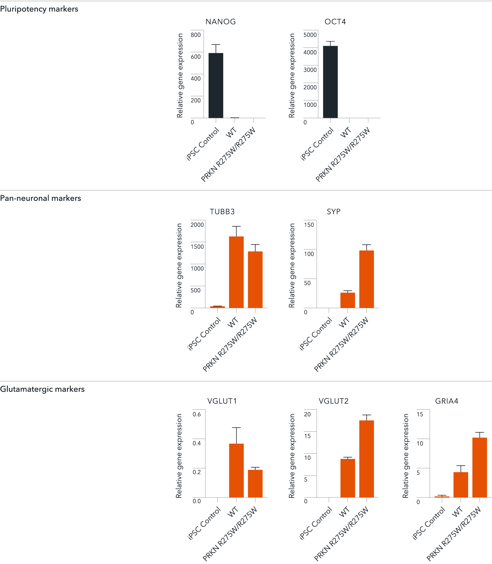 Glutamatergic Neurons PRKN R275W homozygous | ioCells